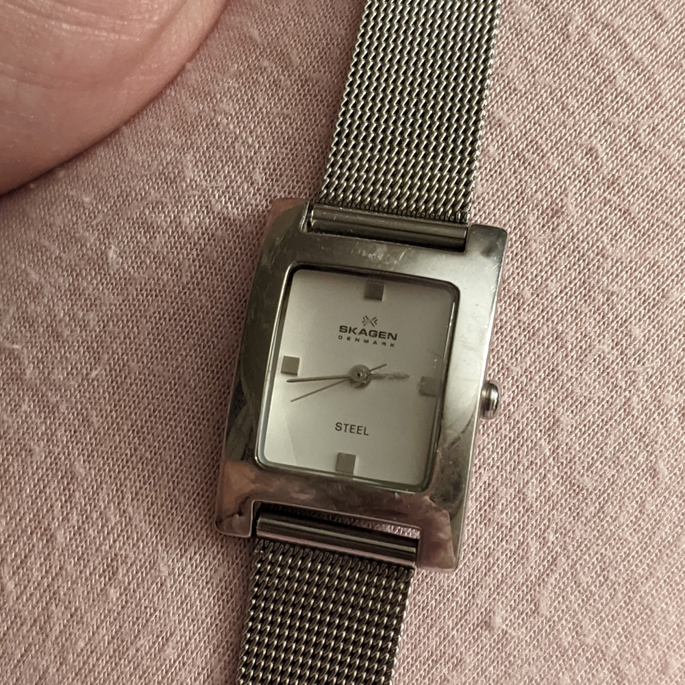 Skagen Ladies Watch